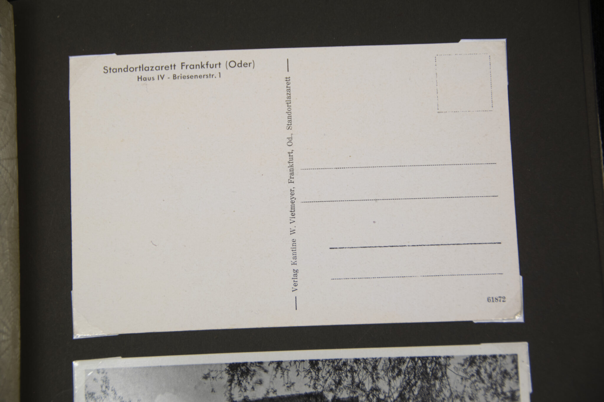 Deutsche Rote Kreuz (DRK) photoalbum with a collection of german postcards + photos + WHW tags, etc - Image 42