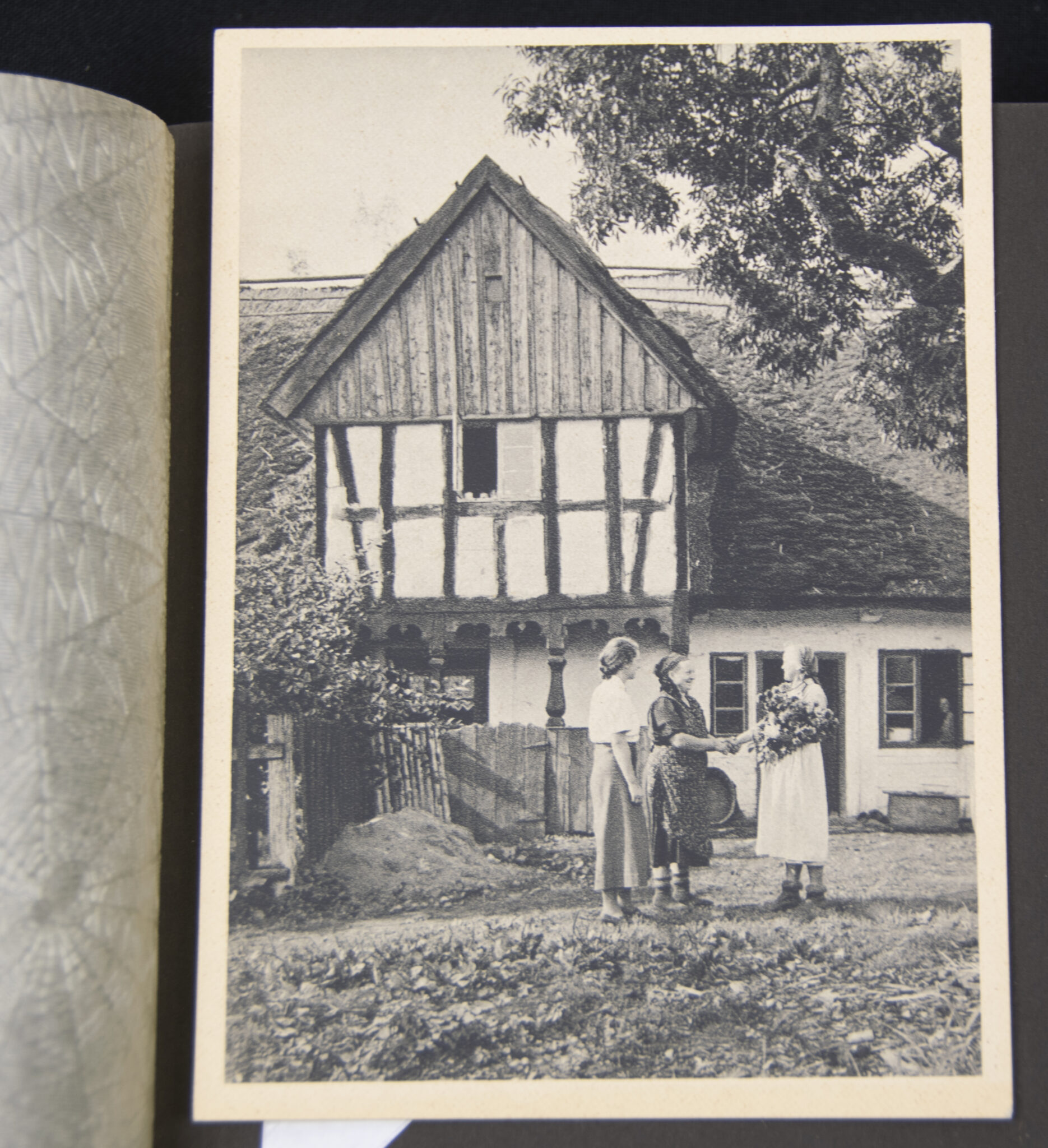 Deutsche Rote Kreuz (DRK) photoalbum with a collection of german postcards + photos + WHW tags, etc - Image 61