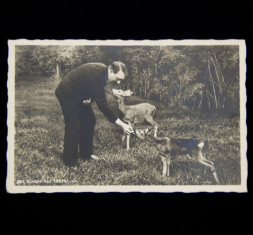 (Postcard) Der Führer als Tierfreund (Photo Hoffmann)
