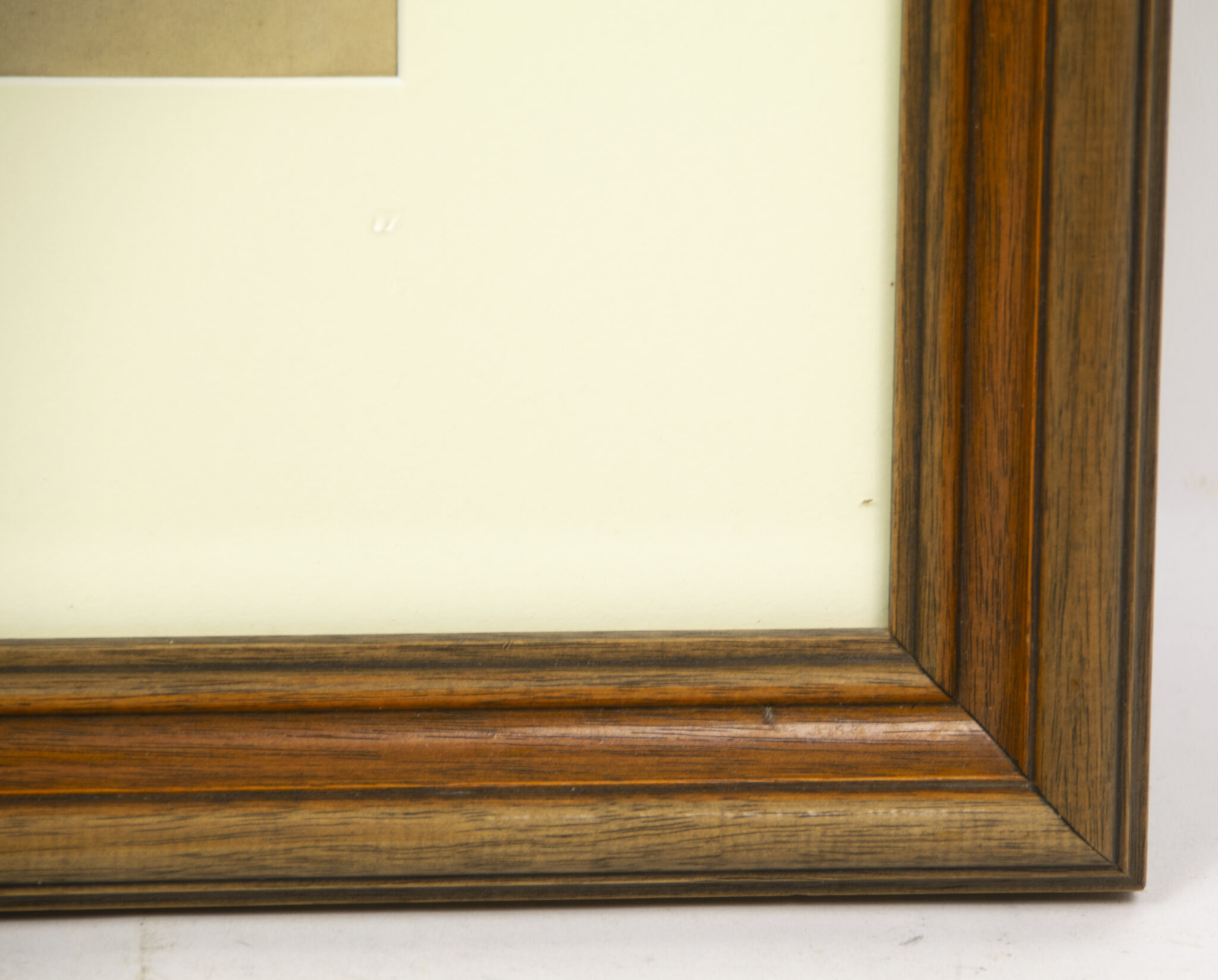 Willrich - Vom Lebensbaum deutscher Art - Bilder und Gedanken zur Rassenfrage - Framed original SS-Untersturmführer portrait - extremely rare