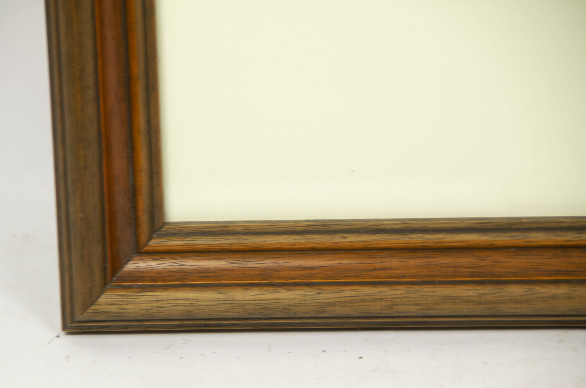 Willrich - Vom Lebensbaum deutscher Art - Bilder und Gedanken zur Rassenfrage - Framed original SS-Untersturmführer portrait - extremely rare