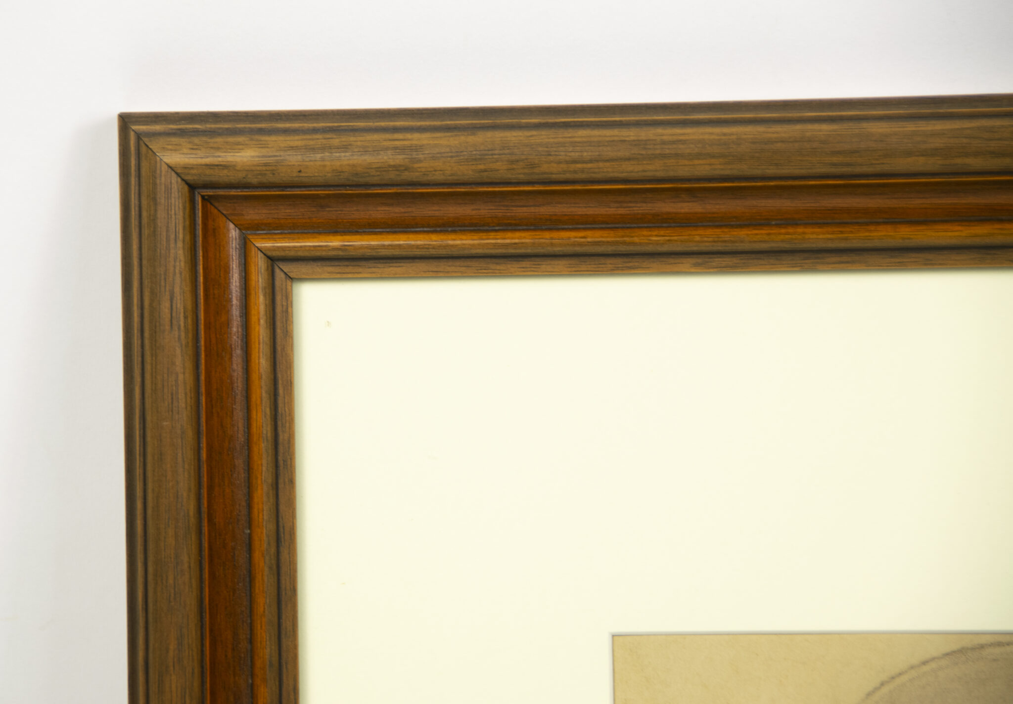 Willrich - Vom Lebensbaum deutscher Art - Bilder und Gedanken zur Rassenfrage - Framed original SS-Untersturmführer portrait - extremely rare