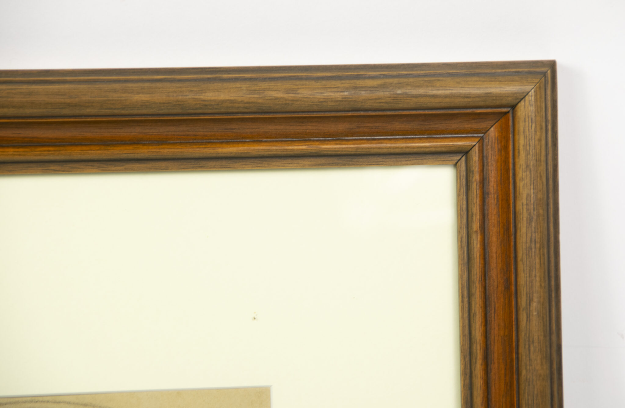 Willrich - Vom Lebensbaum deutscher Art - Bilder und Gedanken zur Rassenfrage - Framed original SS-Untersturmführer portrait - extremely rare